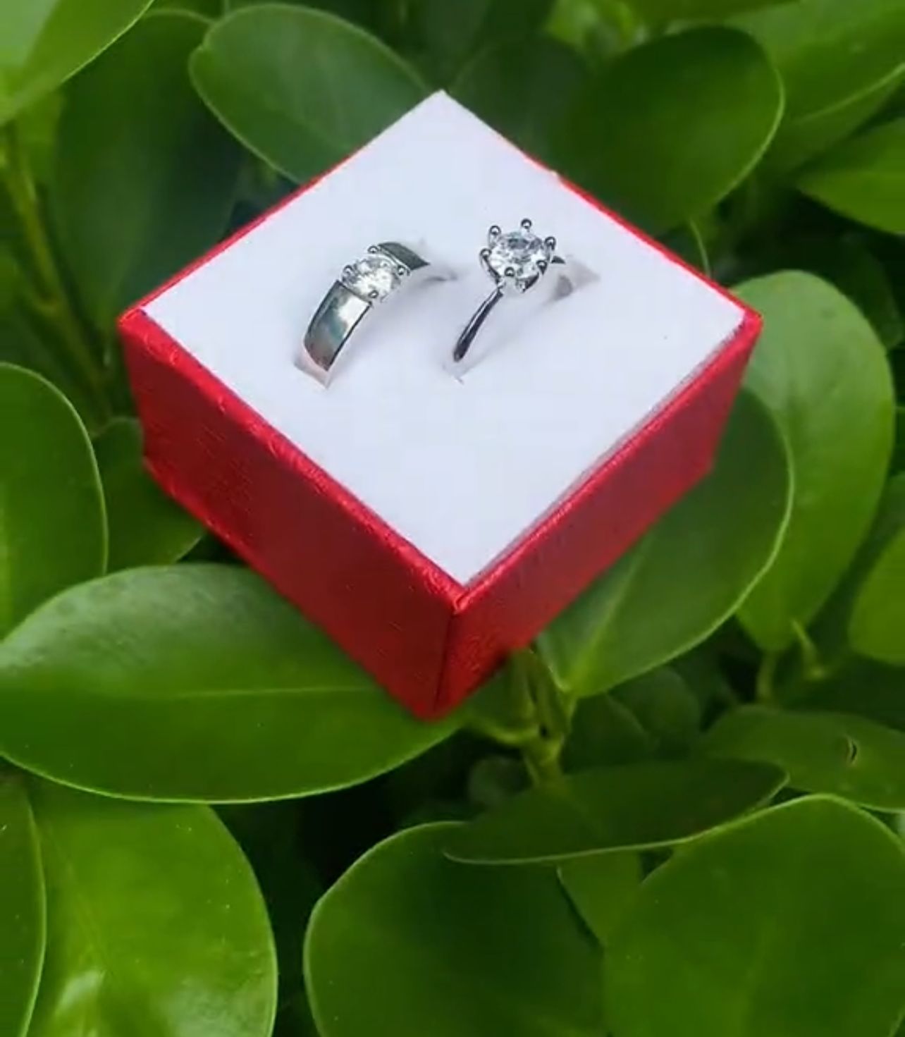 2 Pcs Easy Wear Design